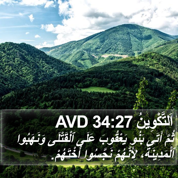 اَلتَّكْوِينُ 34:27 AVD Bible Study