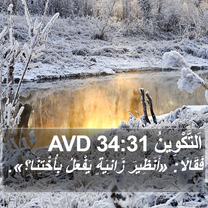 اَلتَّكْوِينُ 34:31 AVD Bible Study