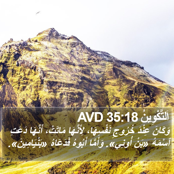 اَلتَّكْوِينُ 35:18 AVD Bible Study