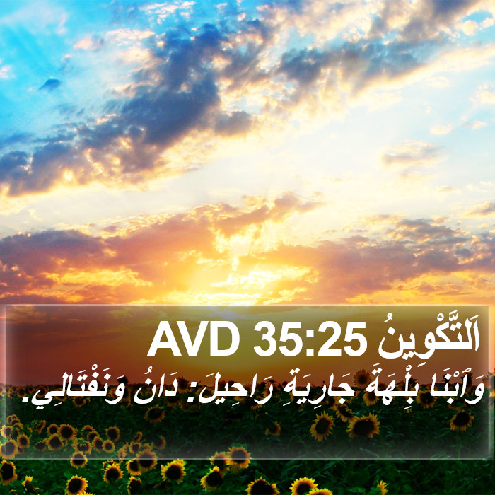 اَلتَّكْوِينُ 35:25 AVD Bible Study