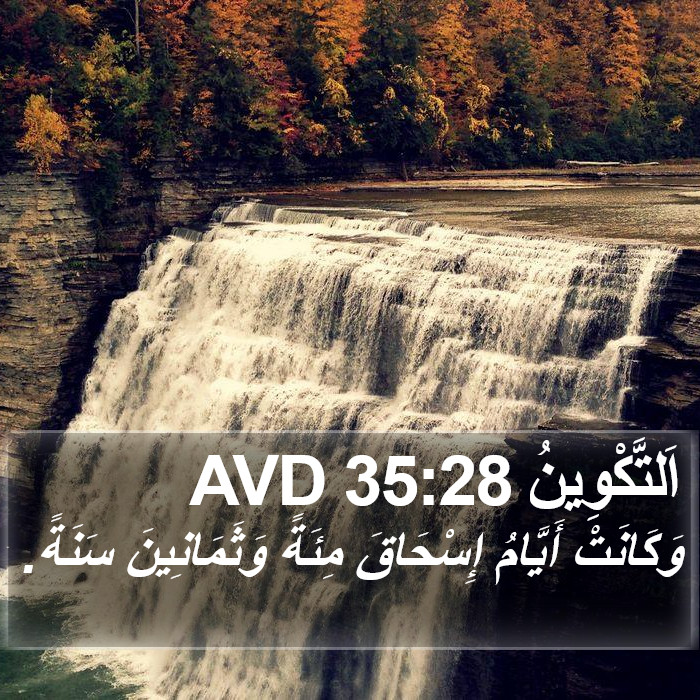 اَلتَّكْوِينُ 35:28 AVD Bible Study
