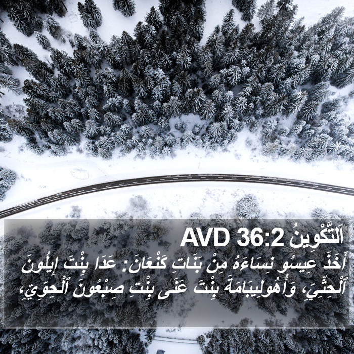 اَلتَّكْوِينُ 36:2 AVD Bible Study