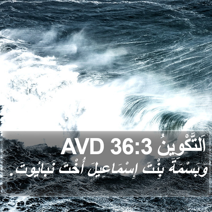 اَلتَّكْوِينُ 36:3 AVD Bible Study