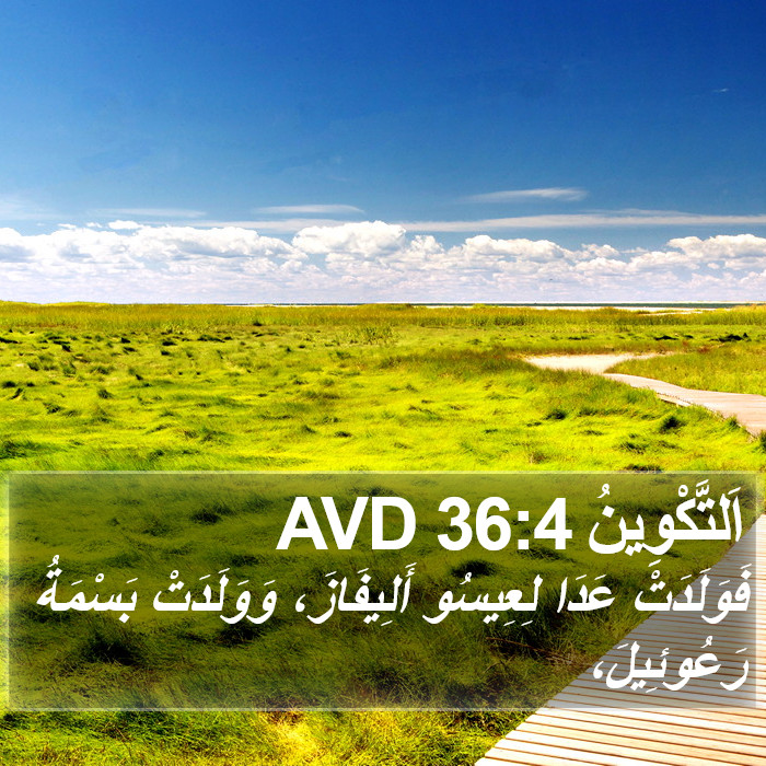 اَلتَّكْوِينُ 36:4 AVD Bible Study