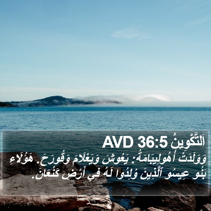 اَلتَّكْوِينُ 36:5 AVD Bible Study
