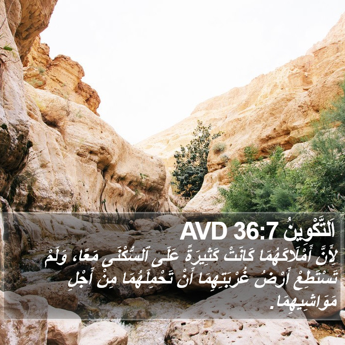 اَلتَّكْوِينُ 36:7 AVD Bible Study