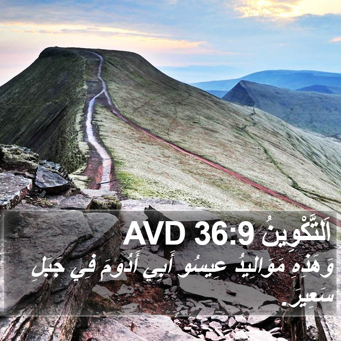 اَلتَّكْوِينُ 36:9 AVD Bible Study
