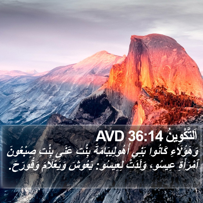 اَلتَّكْوِينُ 36:14 AVD Bible Study