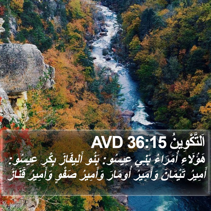اَلتَّكْوِينُ 36:15 AVD Bible Study