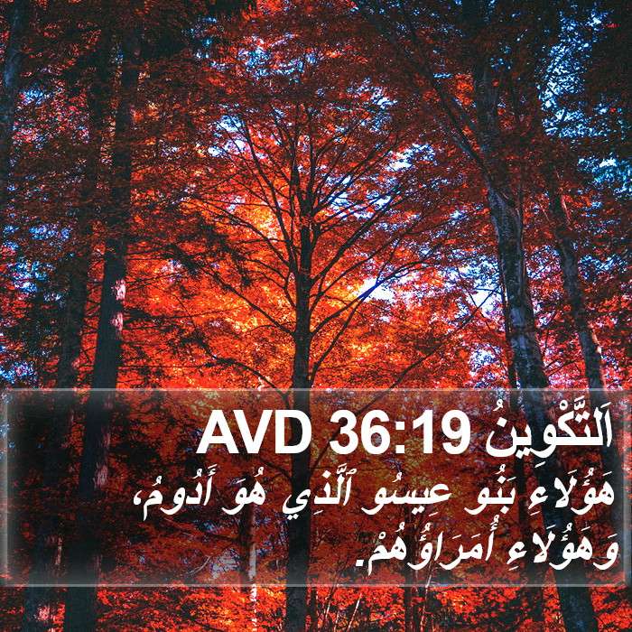 اَلتَّكْوِينُ 36:19 AVD Bible Study