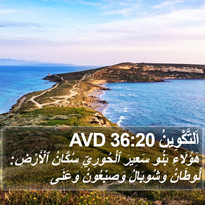اَلتَّكْوِينُ 36:20 AVD Bible Study