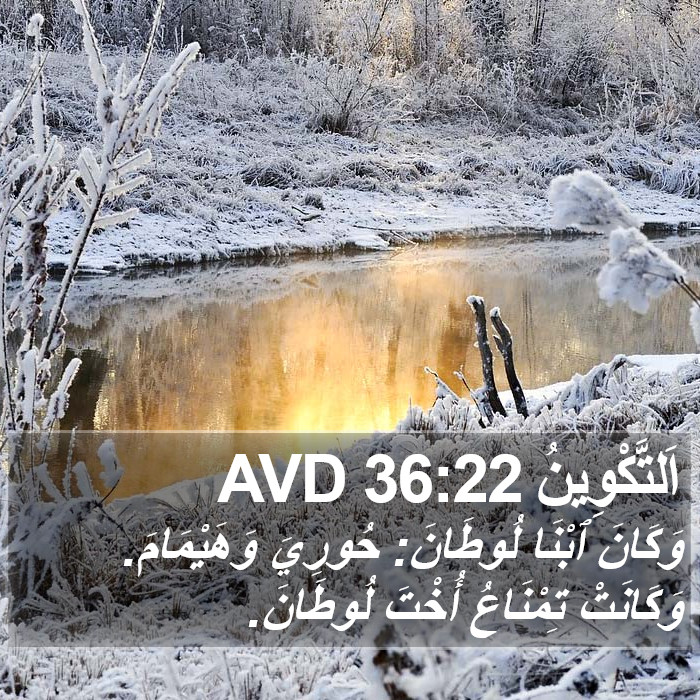 اَلتَّكْوِينُ 36:22 AVD Bible Study