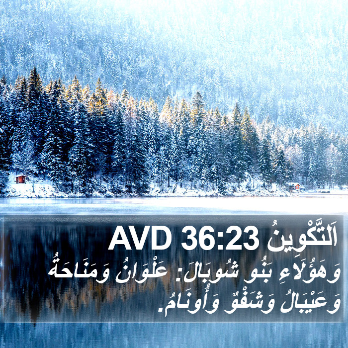 اَلتَّكْوِينُ 36:23 AVD Bible Study