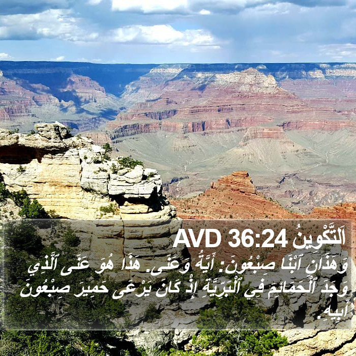 اَلتَّكْوِينُ 36:24 AVD Bible Study