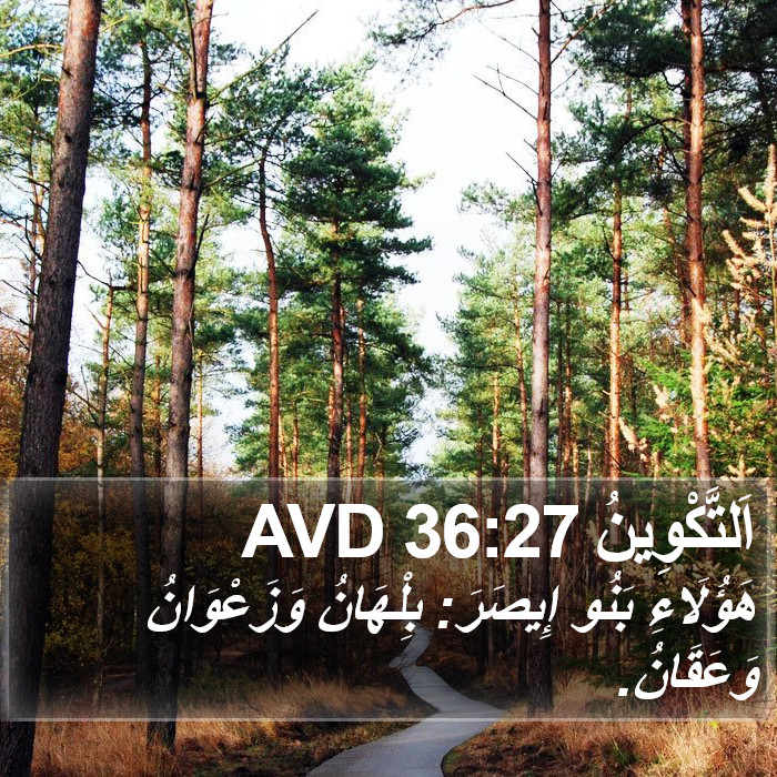 اَلتَّكْوِينُ 36:27 AVD Bible Study