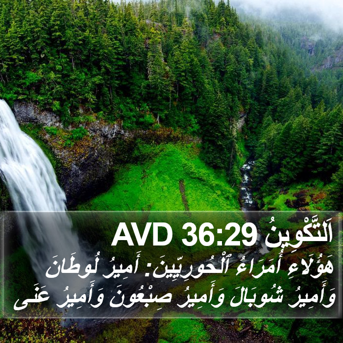 اَلتَّكْوِينُ 36:29 AVD Bible Study