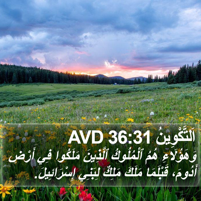 اَلتَّكْوِينُ 36:31 AVD Bible Study