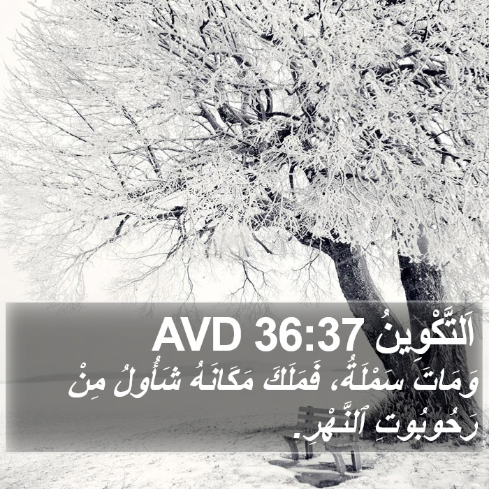 اَلتَّكْوِينُ 36:37 AVD Bible Study