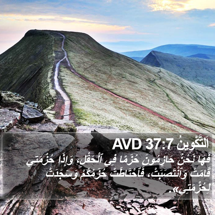 اَلتَّكْوِينُ 37:7 AVD Bible Study