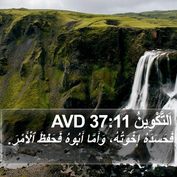 اَلتَّكْوِينُ 37:11 AVD Bible Study
