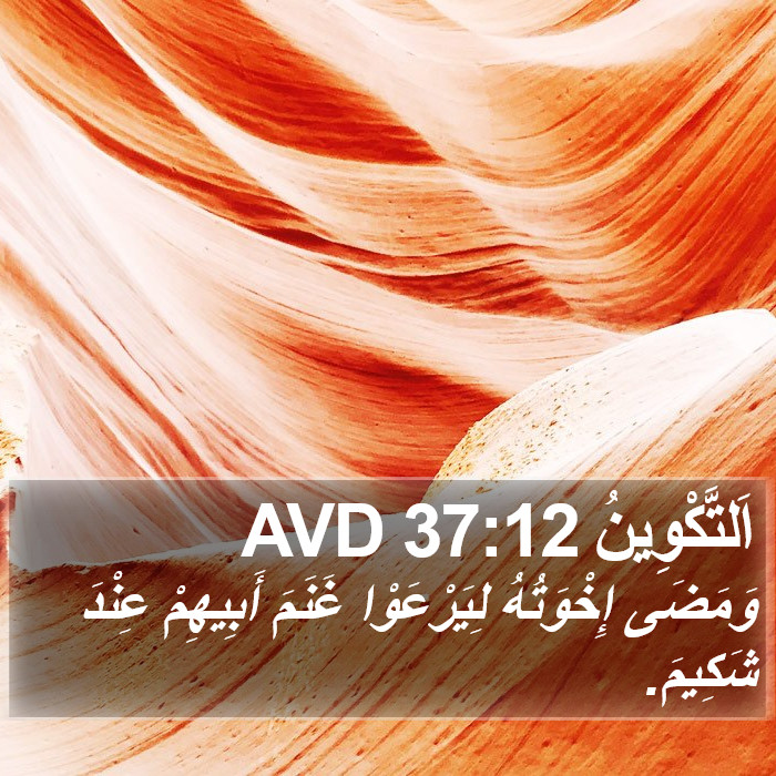 اَلتَّكْوِينُ 37:12 AVD Bible Study