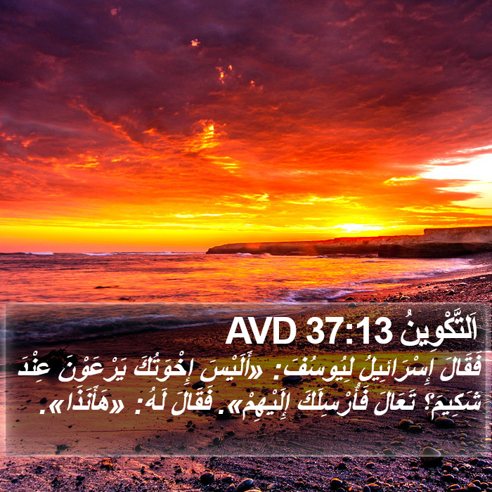 اَلتَّكْوِينُ 37:13 AVD Bible Study