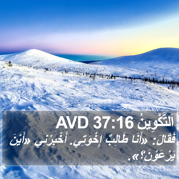 اَلتَّكْوِينُ 37:16 AVD Bible Study
