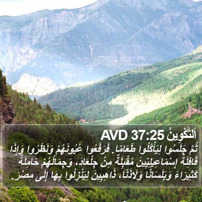 اَلتَّكْوِينُ 37:25 AVD Bible Study