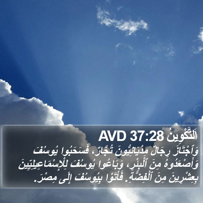 اَلتَّكْوِينُ 37:28 AVD Bible Study