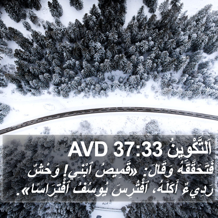 اَلتَّكْوِينُ 37:33 AVD Bible Study