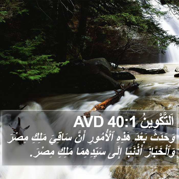 اَلتَّكْوِينُ 40:1 AVD Bible Study