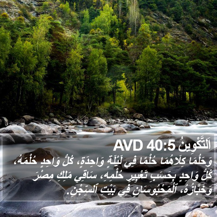 اَلتَّكْوِينُ 40:5 AVD Bible Study