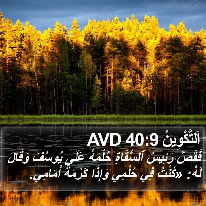 اَلتَّكْوِينُ 40:9 AVD Bible Study