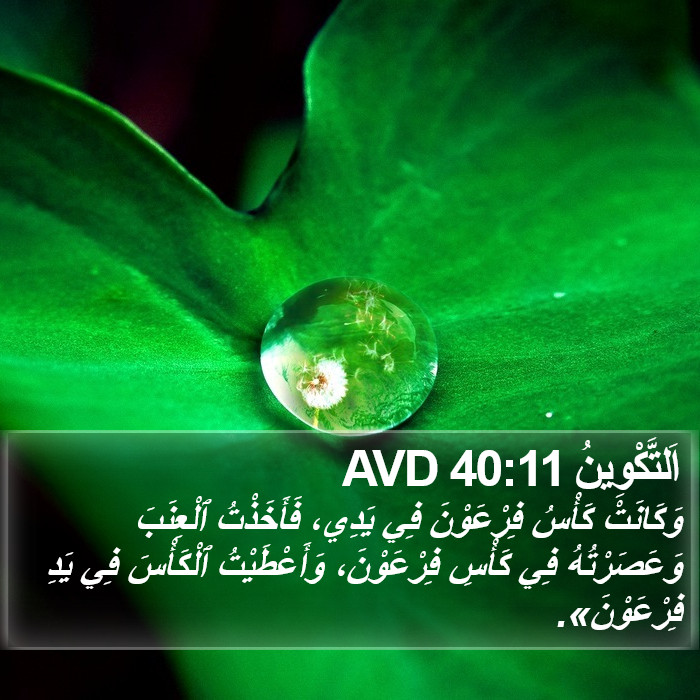 اَلتَّكْوِينُ 40:11 AVD Bible Study