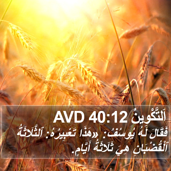 اَلتَّكْوِينُ 40:12 AVD Bible Study