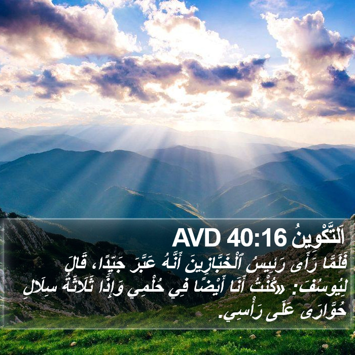 اَلتَّكْوِينُ 40:16 AVD Bible Study