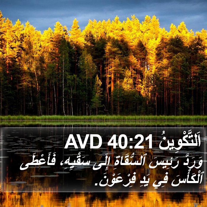 اَلتَّكْوِينُ 40:21 AVD Bible Study