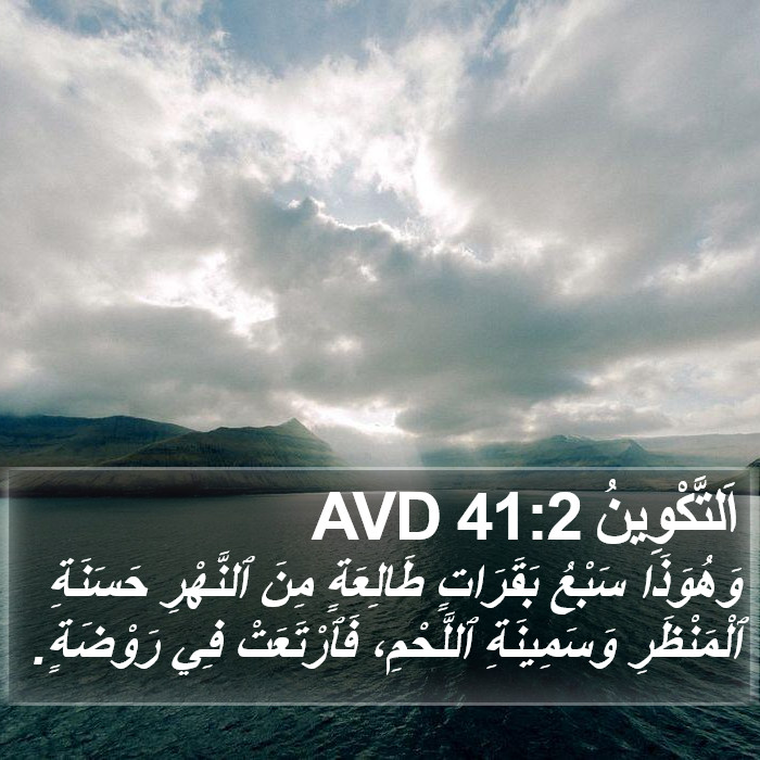 اَلتَّكْوِينُ 41:2 AVD Bible Study