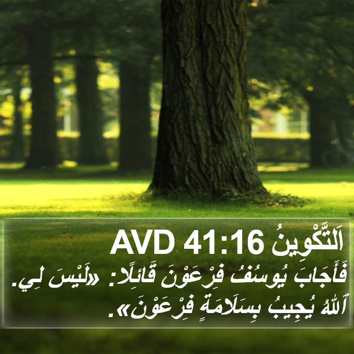 اَلتَّكْوِينُ 41:16 AVD Bible Study