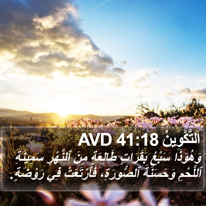 اَلتَّكْوِينُ 41:18 AVD Bible Study