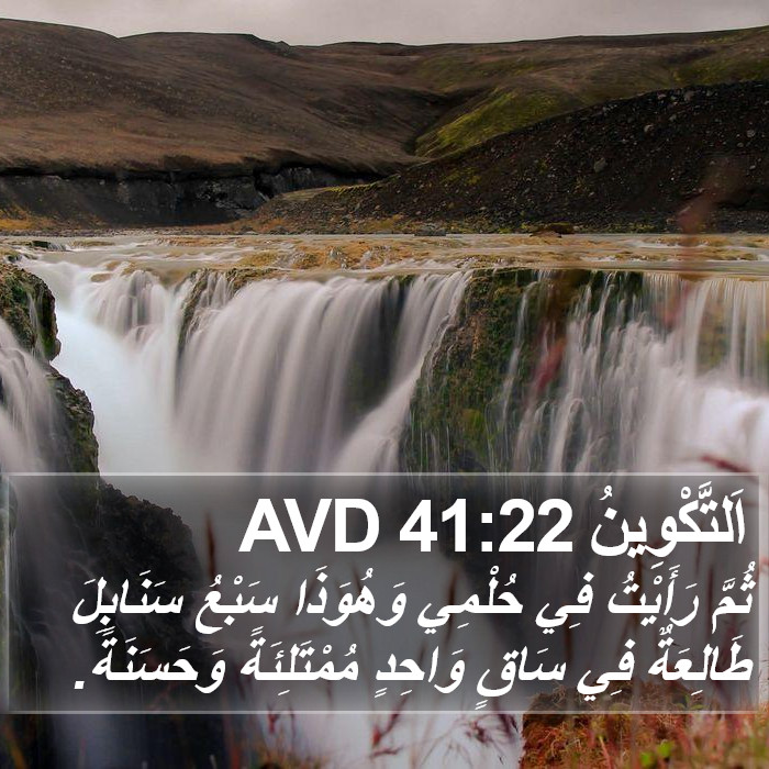 اَلتَّكْوِينُ 41:22 AVD Bible Study