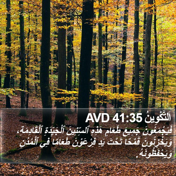 اَلتَّكْوِينُ 41:35 AVD Bible Study