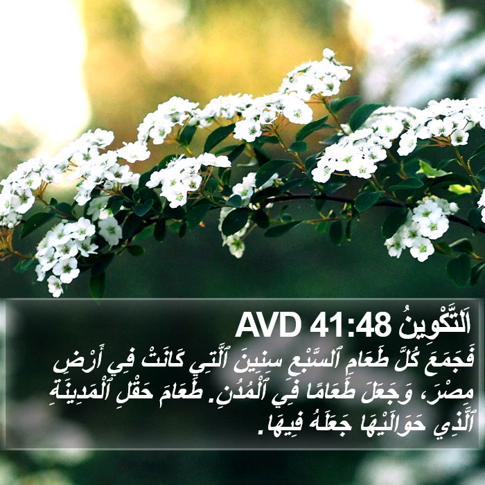 اَلتَّكْوِينُ 41:48 AVD Bible Study