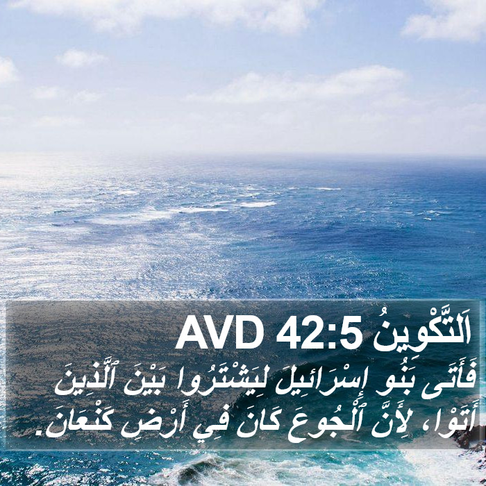 اَلتَّكْوِينُ 42:5 AVD Bible Study