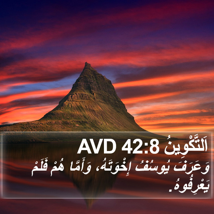 اَلتَّكْوِينُ 42:8 AVD Bible Study