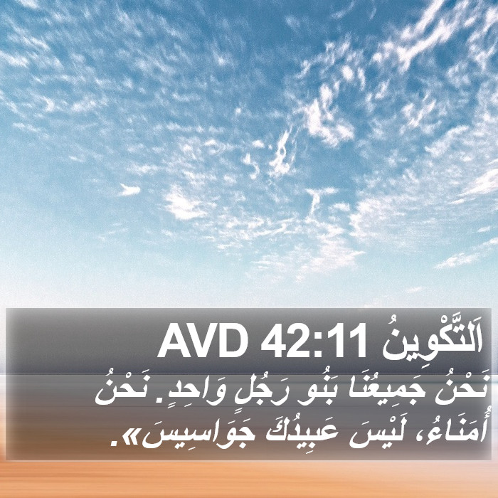 اَلتَّكْوِينُ 42:11 AVD Bible Study
