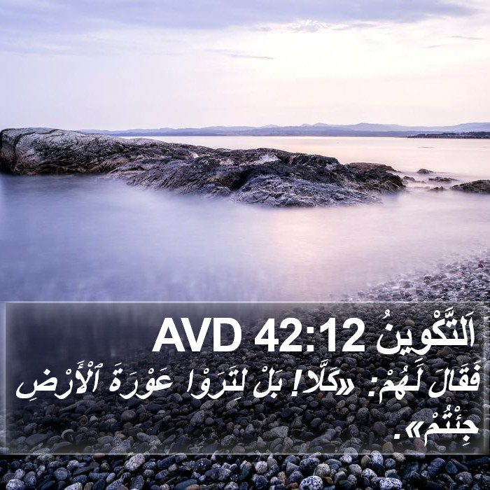 اَلتَّكْوِينُ 42:12 AVD Bible Study