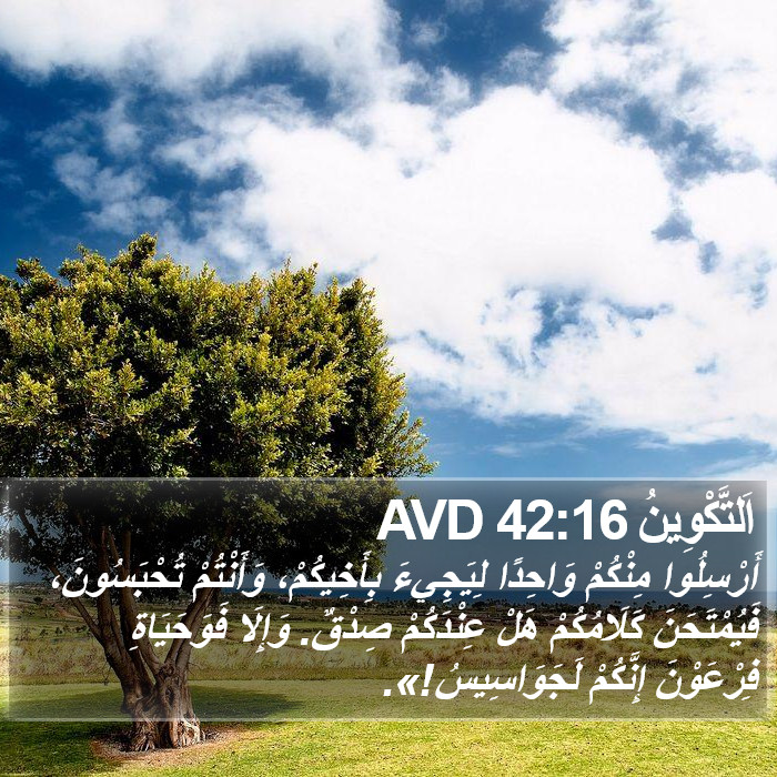 اَلتَّكْوِينُ 42:16 AVD Bible Study