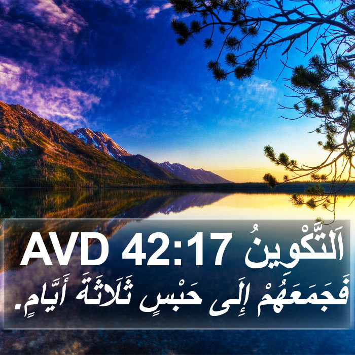 اَلتَّكْوِينُ 42:17 AVD Bible Study