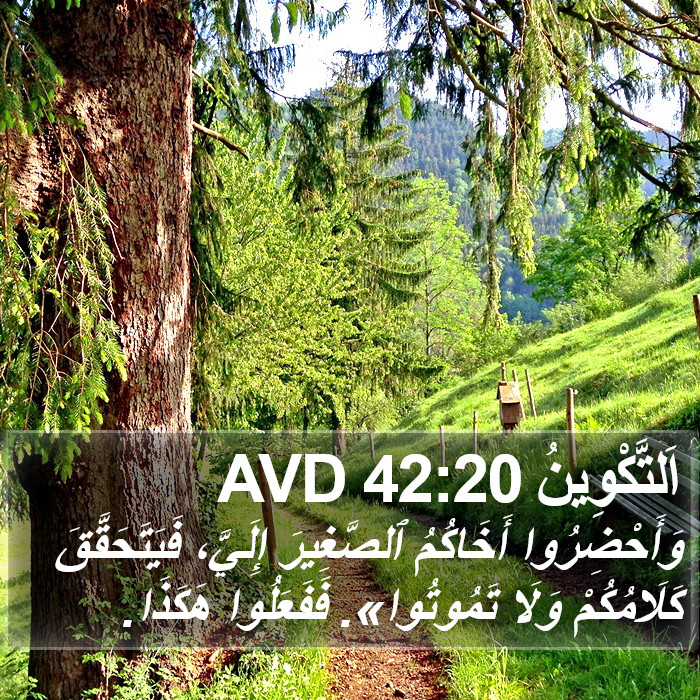 اَلتَّكْوِينُ 42:20 AVD Bible Study